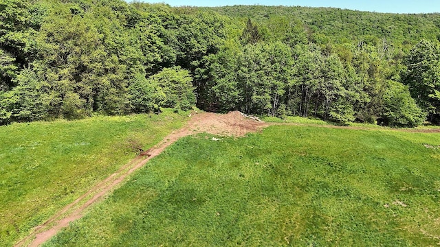 John Milk Rd, Long Eddy, NY 13783 - photo 24
