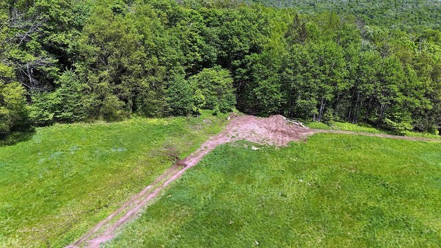 John Milk Rd, Long Eddy, NY 13783 - photo 25