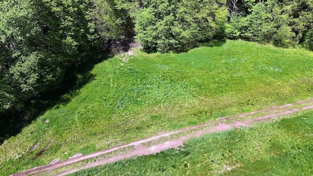 John Milk Rd, Long Eddy, NY 13783 - photo 26