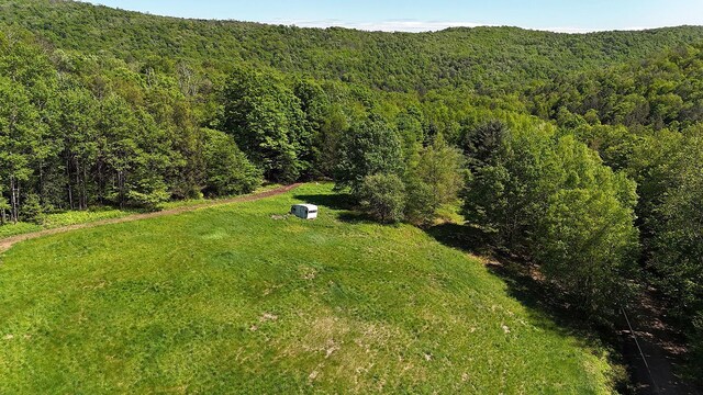 John Milk Rd, Long Eddy, NY 13783 - photo 27