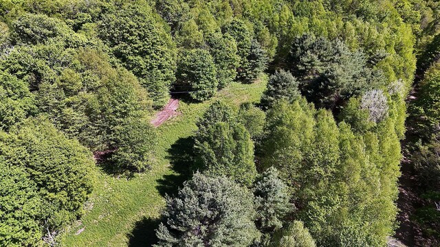 John Milk Rd, Long Eddy, NY 13783 - photo 28