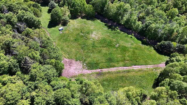 John Milk Rd, Long Eddy, NY 13783 - photo 29