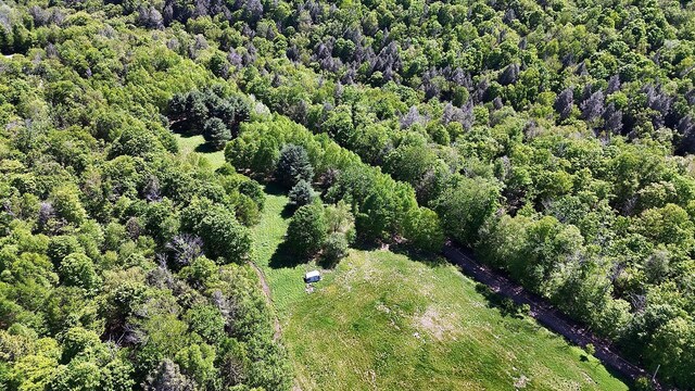 John Milk Rd, Long Eddy, NY 13783 - photo 30