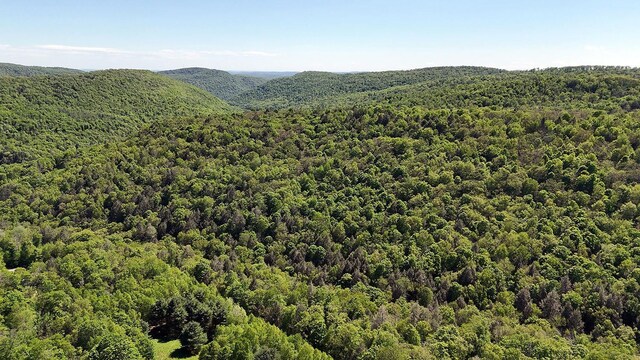 John Milk Rd, Long Eddy, NY 13783 - photo 31
