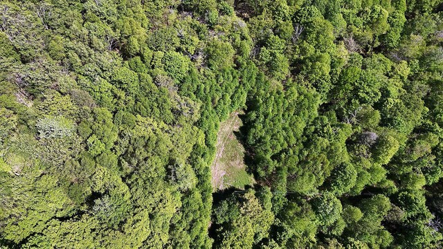 John Milk Rd, Long Eddy, NY 13783 - photo 33