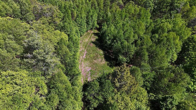 John Milk Rd, Long Eddy, NY 13783 - photo 34