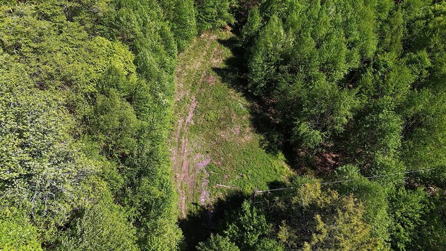 John Milk Rd, Long Eddy, NY 13783 - photo 35
