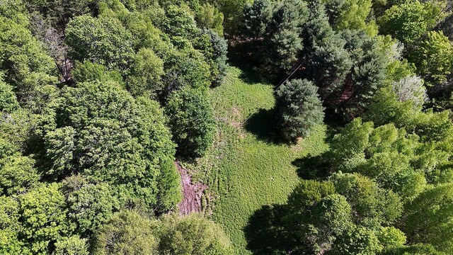 John Milk Rd, Long Eddy, NY 13783 - photo 36
