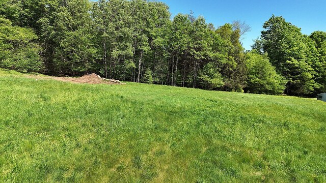 John Milk Rd, Long Eddy, NY 13783 - photo 38