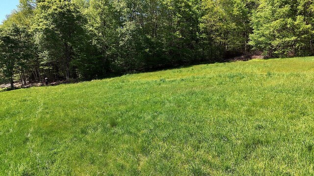 John Milk Rd, Long Eddy, NY 13783 - photo 39