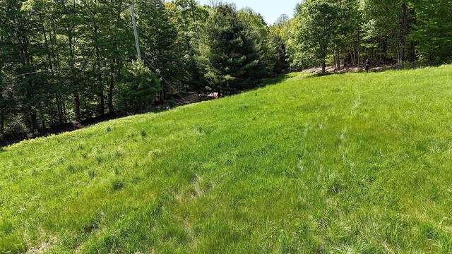 John Milk Rd, Long Eddy, NY 13783 - photo 40