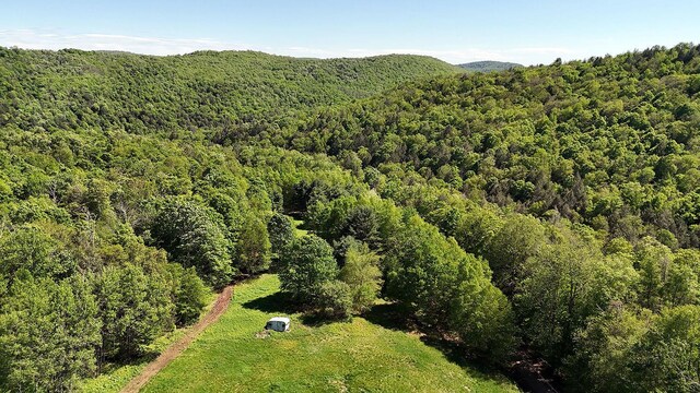 John Milk Rd, Long Eddy, NY 13783 - photo 41