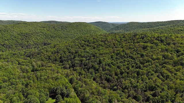 John Milk Rd, Long Eddy, NY 13783 - photo 42