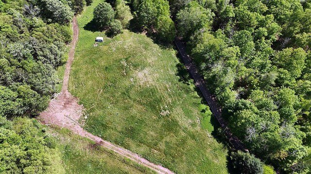 John Milk Rd, Long Eddy, NY 13783 - photo 43