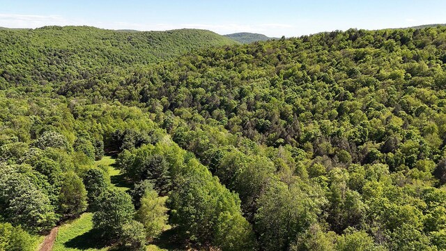 John Milk Rd, Long Eddy, NY 13783 - photo 44