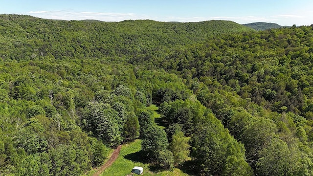 John Milk Rd, Long Eddy, NY 13783 - photo 45