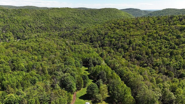 John Milk Rd, Long Eddy, NY 13783 - photo 46