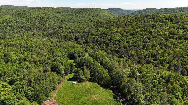 John Milk Rd, Long Eddy, NY 13783 - photo 47