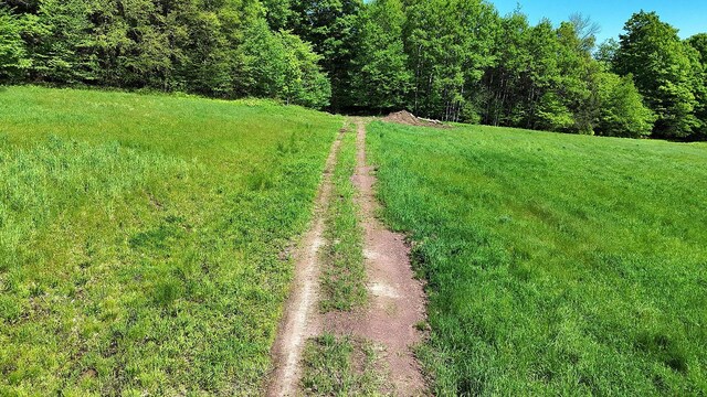 John Milk Rd, Long Eddy, NY 13783 - photo 49