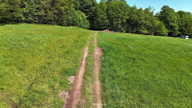 John Milk Rd, Long Eddy, NY 13783 - photo 50