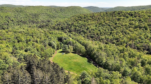 John Milk Rd, Long Eddy, NY 13783 - photo 1