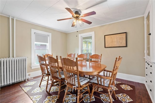 dining room featuring ornamental molding, radiator, dark wood-type flooring, and ceiling fan