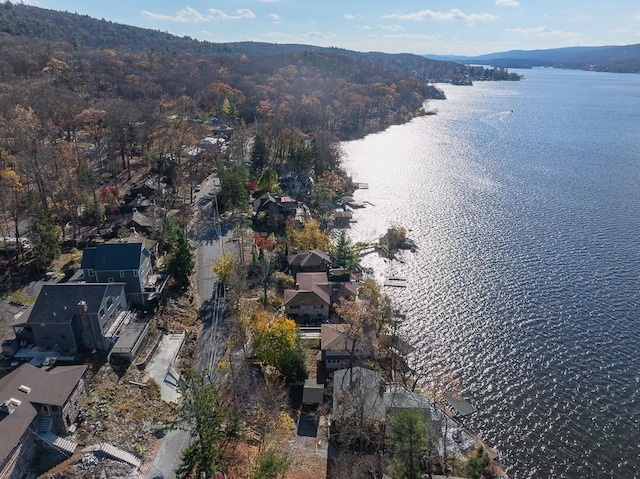 drone / aerial view with a water and mountain view