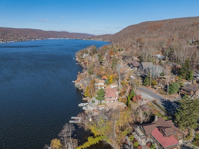 drone / aerial view with a water and mountain view