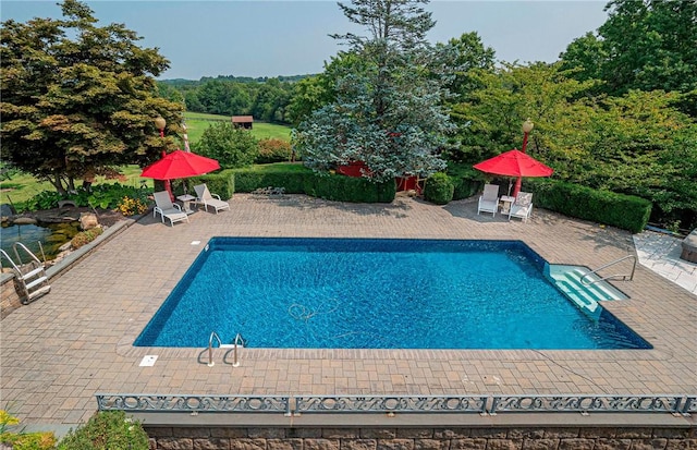 view of swimming pool featuring a patio