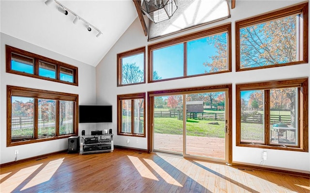 doorway to outside featuring hardwood / wood-style floors, a healthy amount of sunlight, and high vaulted ceiling