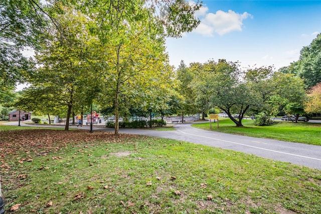 view of home's community with a yard