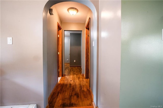 hallway featuring dark wood-type flooring