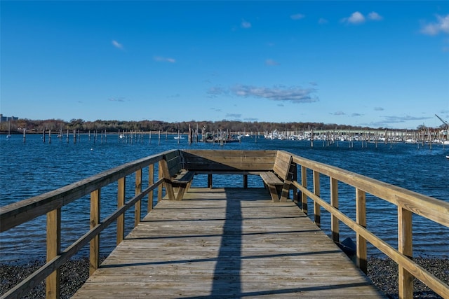 dock area featuring a water view