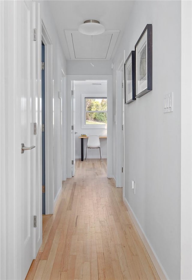 hallway featuring light hardwood / wood-style flooring