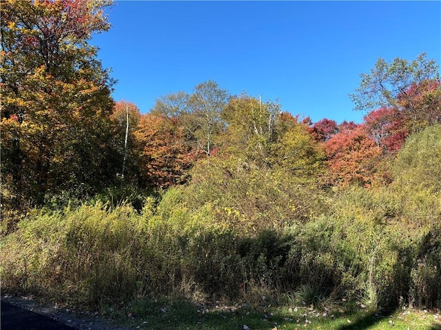 W Mombasha Rd W, Monroe NY, 10950 land for sale