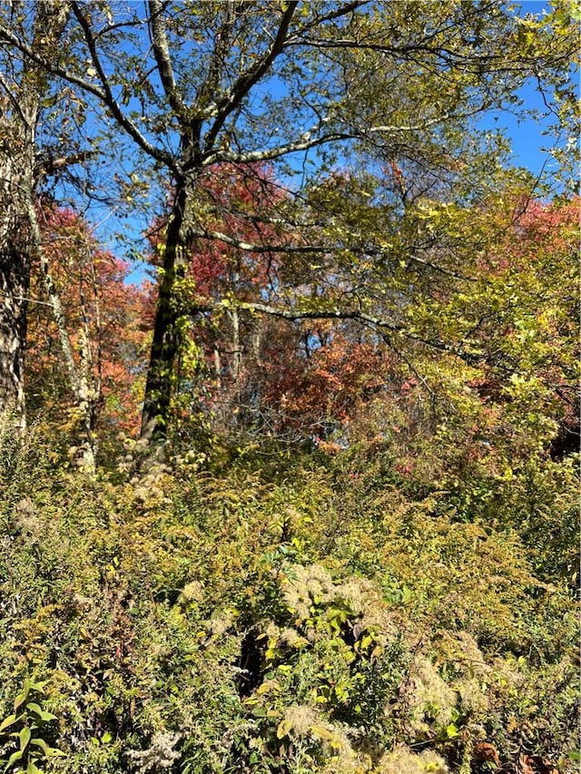 W Mombasha Rd W, Monroe, NY 10950 - photo 4