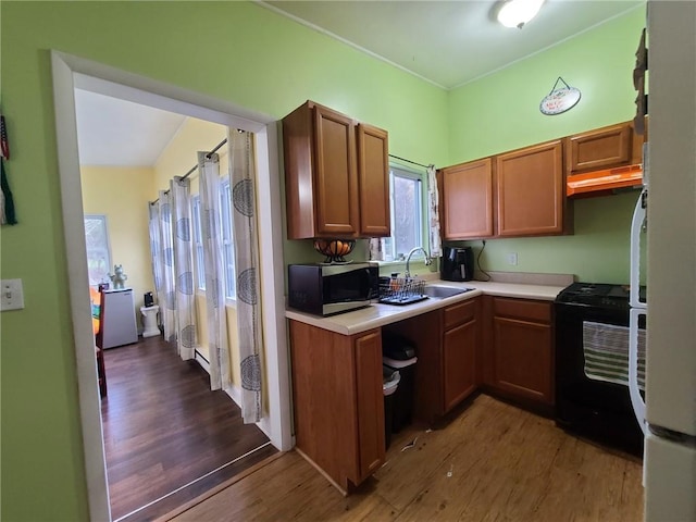 kitchen featuring sink, dark hardwood / wood-style flooring, and range