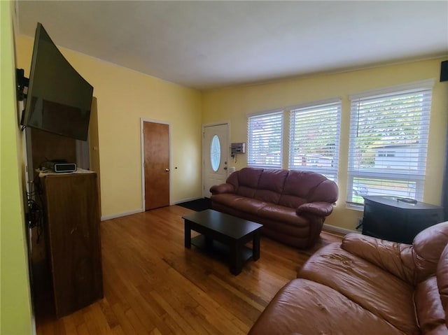 living room with hardwood / wood-style floors