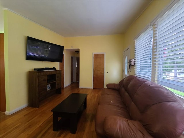 living room featuring hardwood / wood-style floors