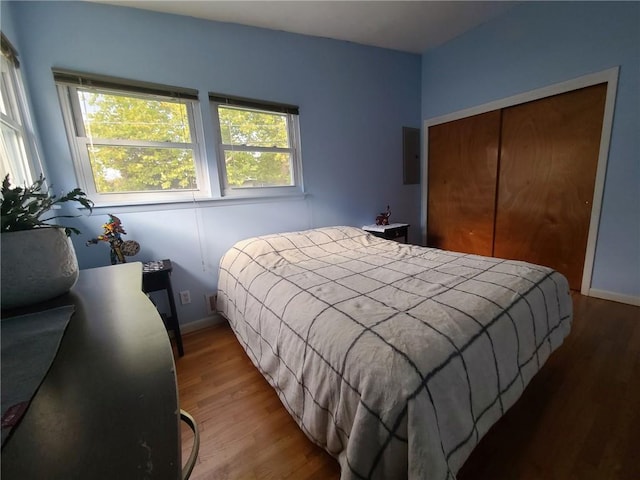 bedroom with electric panel, a closet, and hardwood / wood-style flooring