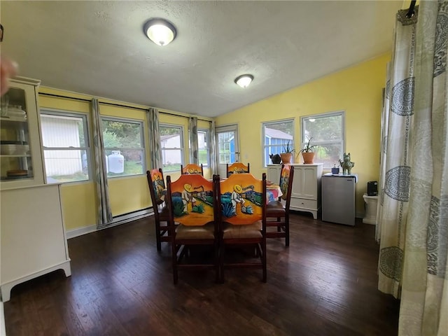 dining room featuring a healthy amount of sunlight, dark hardwood / wood-style flooring, and lofted ceiling