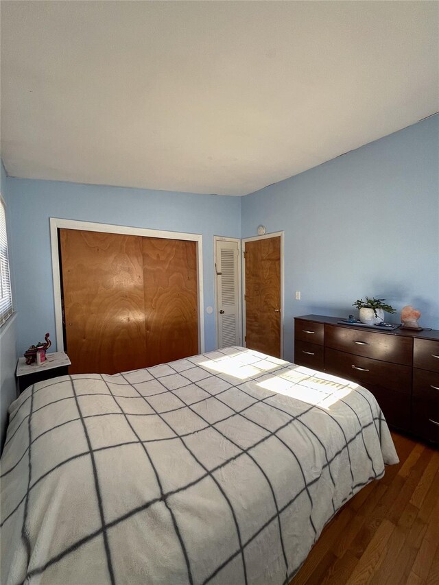 bedroom featuring dark hardwood / wood-style flooring and a closet