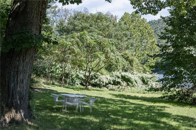 24921 State Highway 97, Hancock, NY 13783 - view of yard