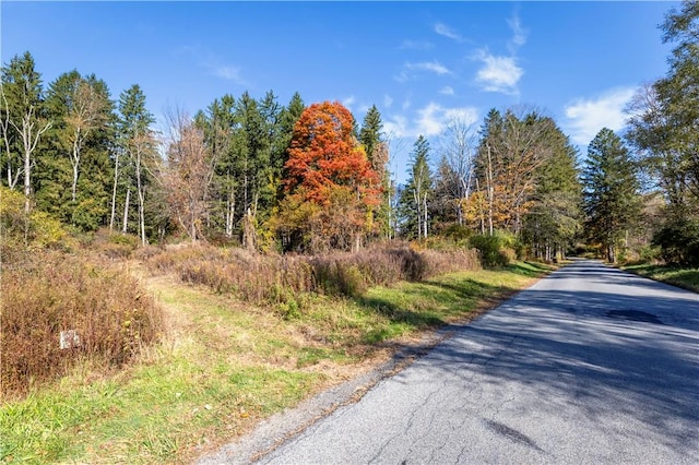 LOT2 Dodge Rd, Pawling NY, 12564 land for sale