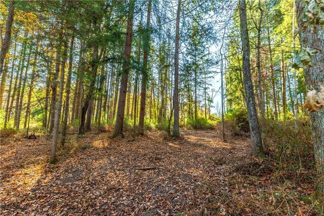 LOT2 Dodge Rd, Pawling, NY 12564 - photo 6