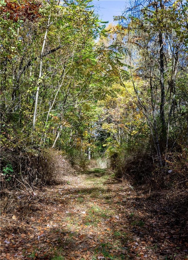 LOT2 Dodge Rd, Pawling, NY 12564 - photo 8