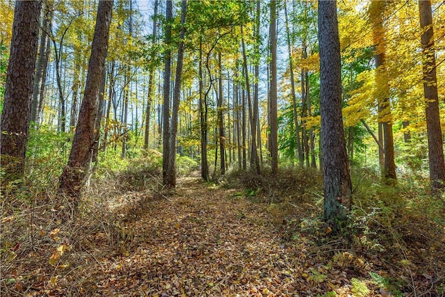 LOT2 Dodge Rd, Pawling, NY 12564 - photo 10