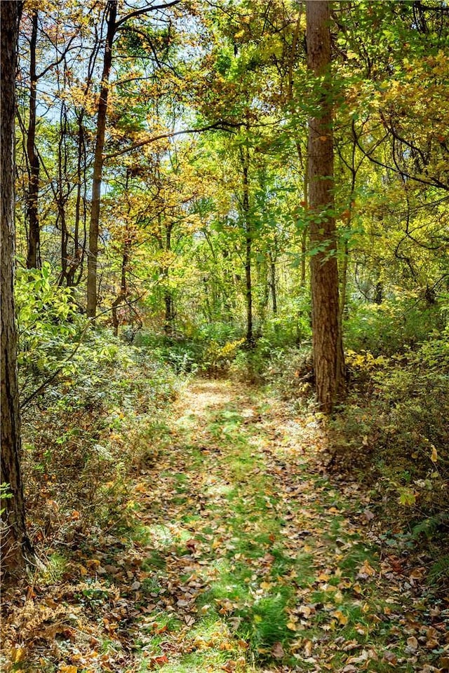 LOT2 Dodge Rd, Pawling, NY 12564 - photo 11