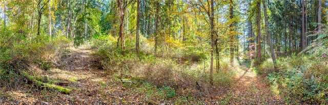 LOT2 Dodge Rd, Pawling, NY 12564 - photo 12