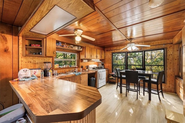 kitchen with plenty of natural light, wood walls, kitchen peninsula, and white gas range